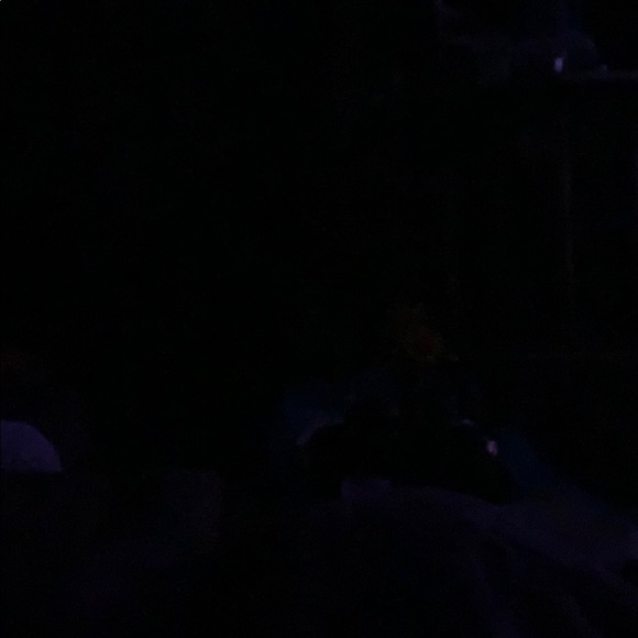 Meet your Posher, Kacey - Picture 1 of 1